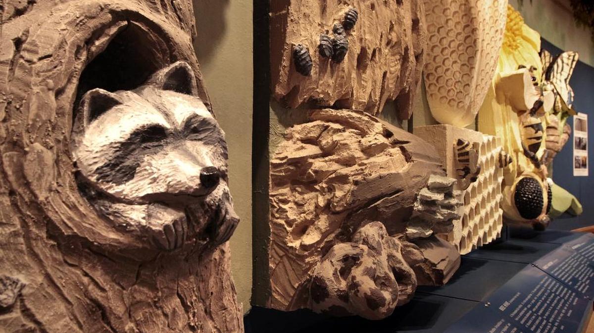 An educational display at the River Legacy Living Science Center
