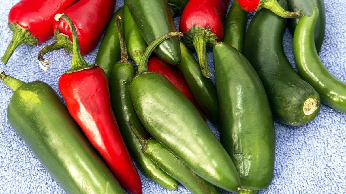 ZestFest is made for chile lovers.
