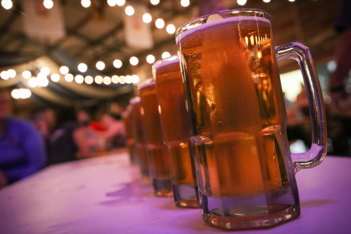 A row of beer in glass mugs on a table inside a tent, string lights are overhead.