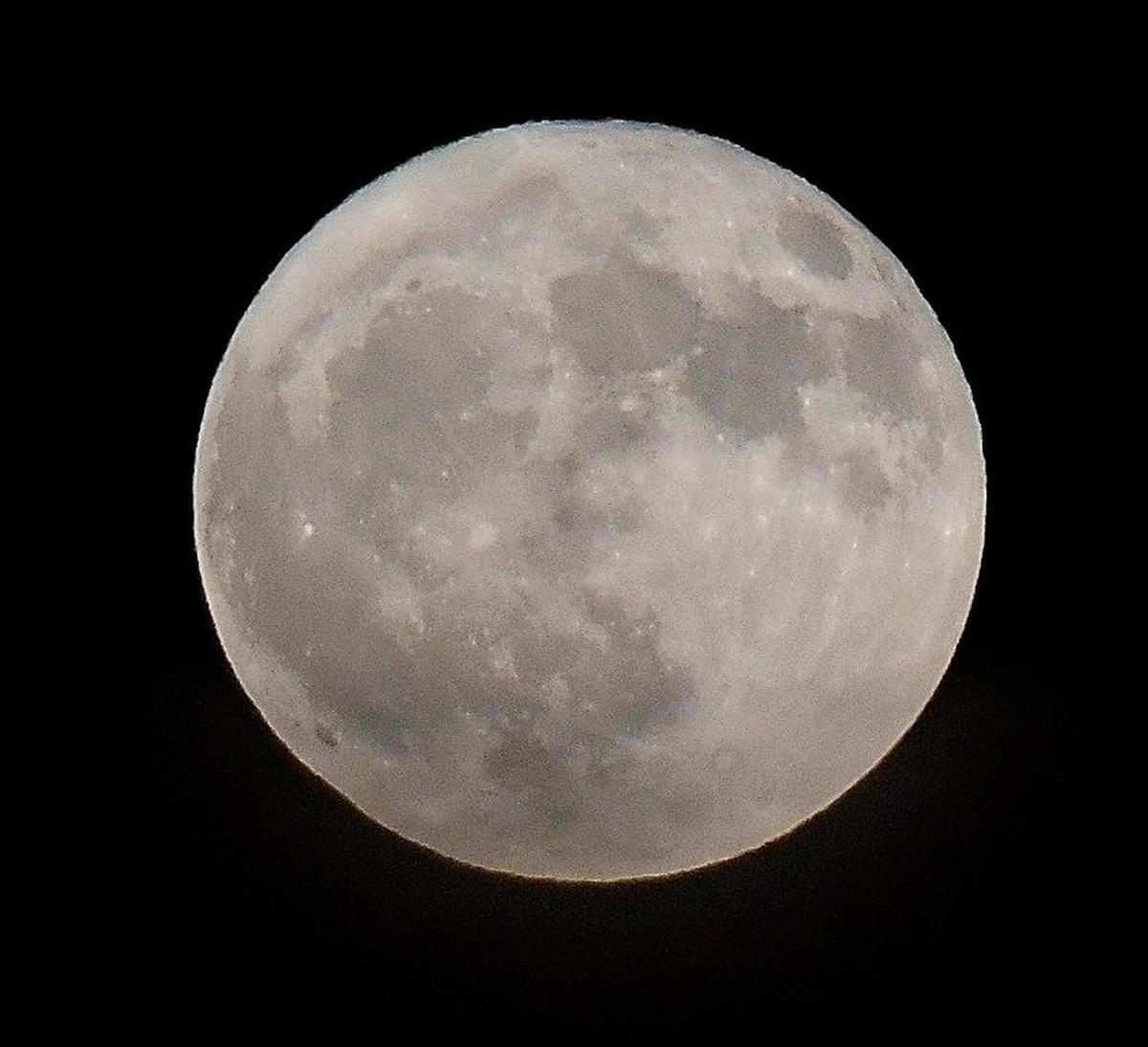 Check out a moon viewing festival in Dallas.