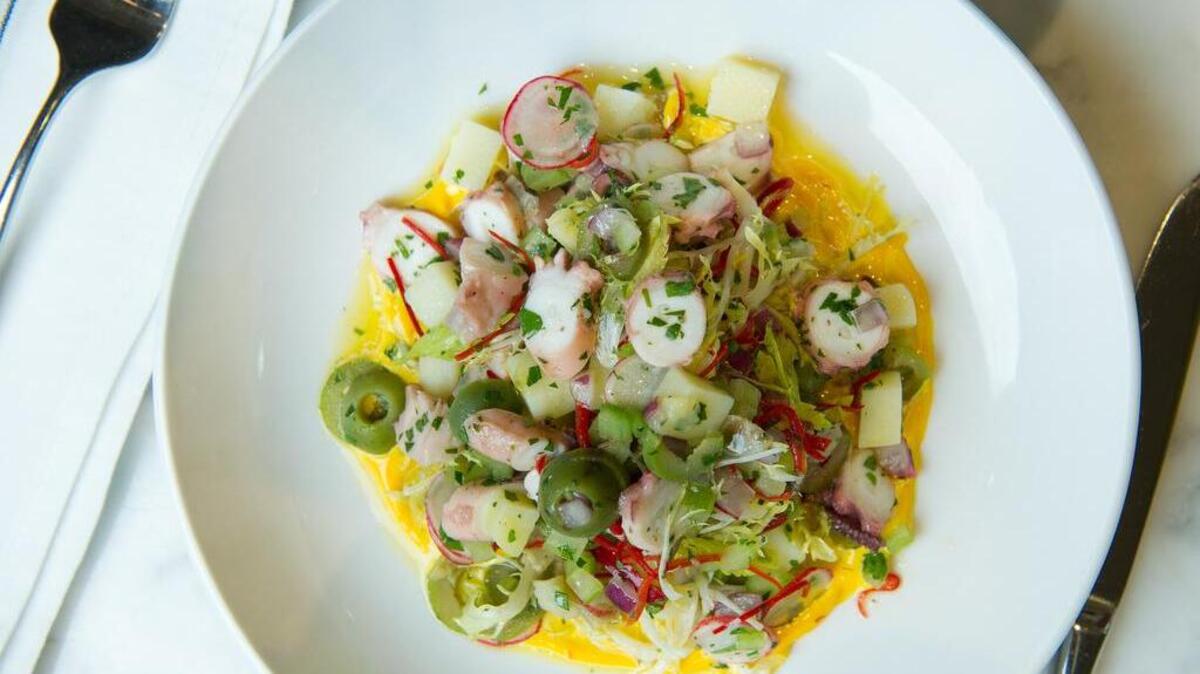 Octopus salad (octopus, frisse greens, potato, celery, radishes, Castelvetrano olives, saffron aioli) is on the appetizer menu at Piattello Italian Kitchen.