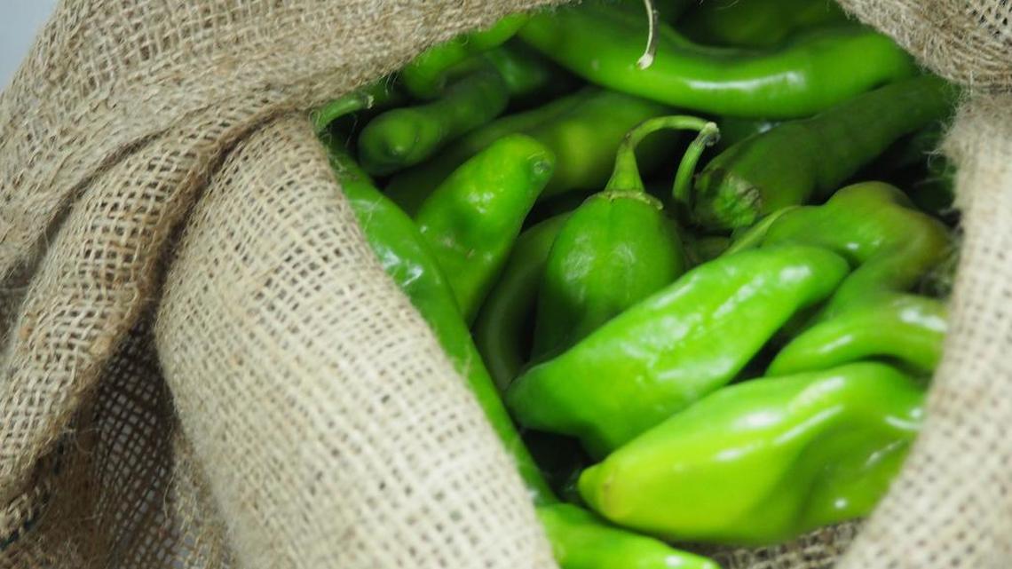 Green chiles from Hatch, N.M., are in season.
