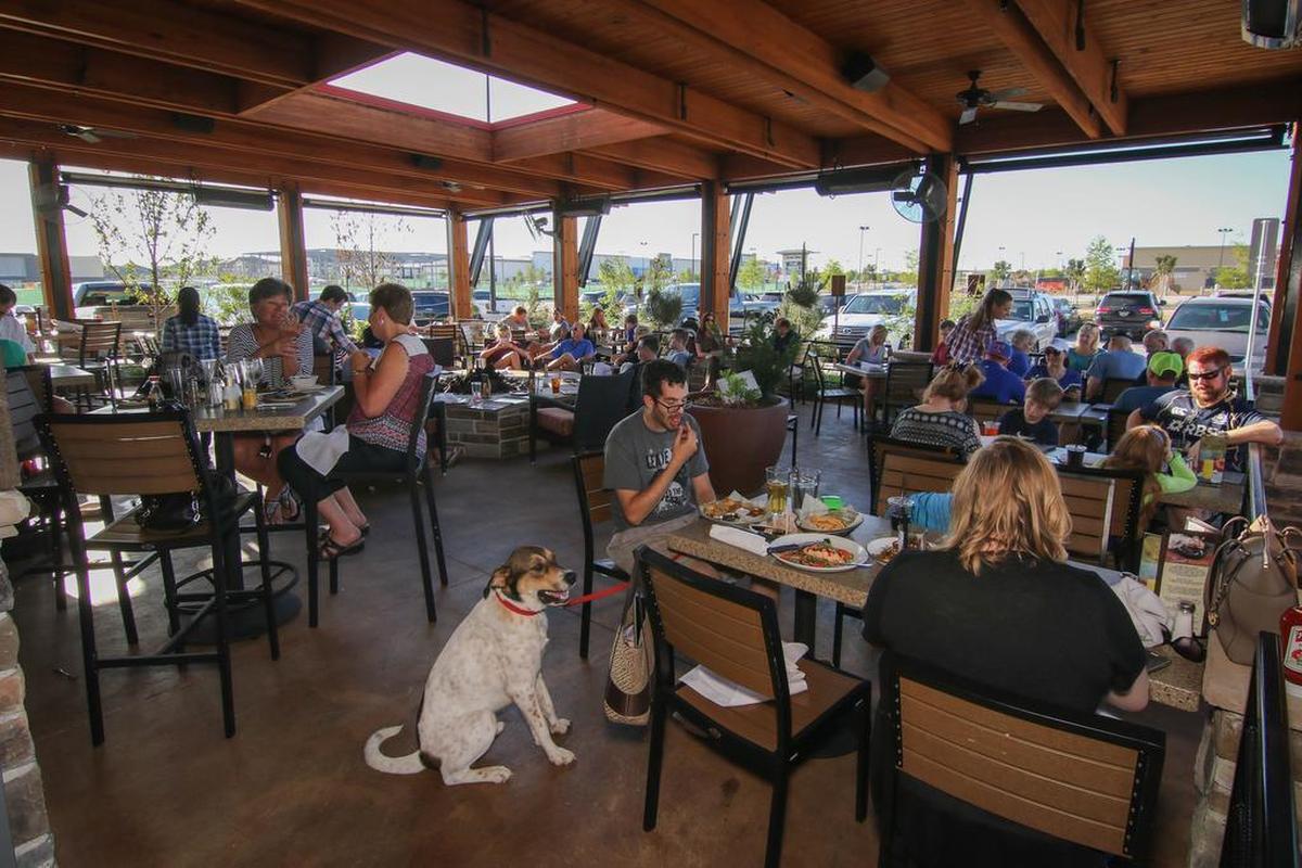 Lazy Dog Restaurant and Bar in Euless