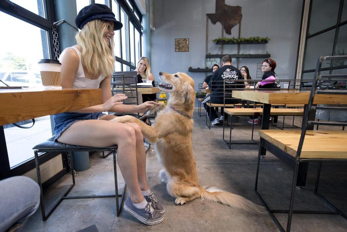 Kate Davis greets Harper, whose owner, Baylee Belflower, is in the background. Belflower often brings her dog to Toasted, which has a covered patio where dogs are welcome.