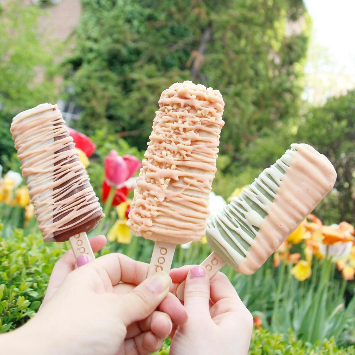 The gelato, sorbetto and yogurt on a stick at Popbar