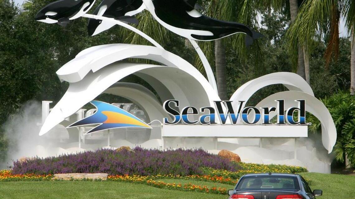 SeaWorld San Antonio offering free admission to teachers, preschoolers