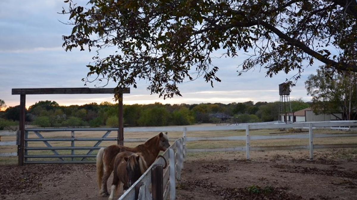 The Tumbleweed Ranch is located on approximately six acres.