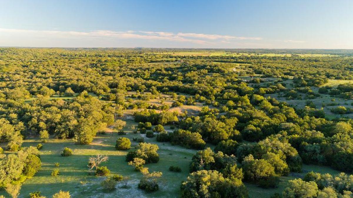 Eagles Bluff will host a sneak preview land sale on Saturday, March 30.