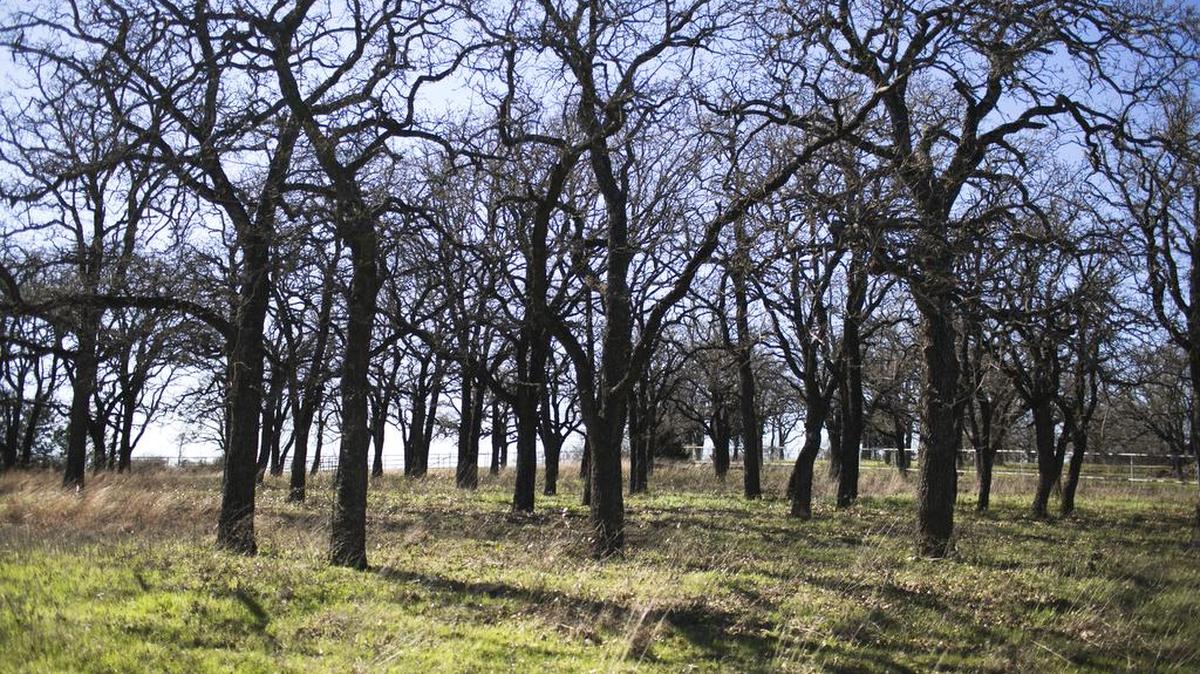 The property at 933 S. Briaroaks Road is located twenty minutes from downtown Fort Worth.
