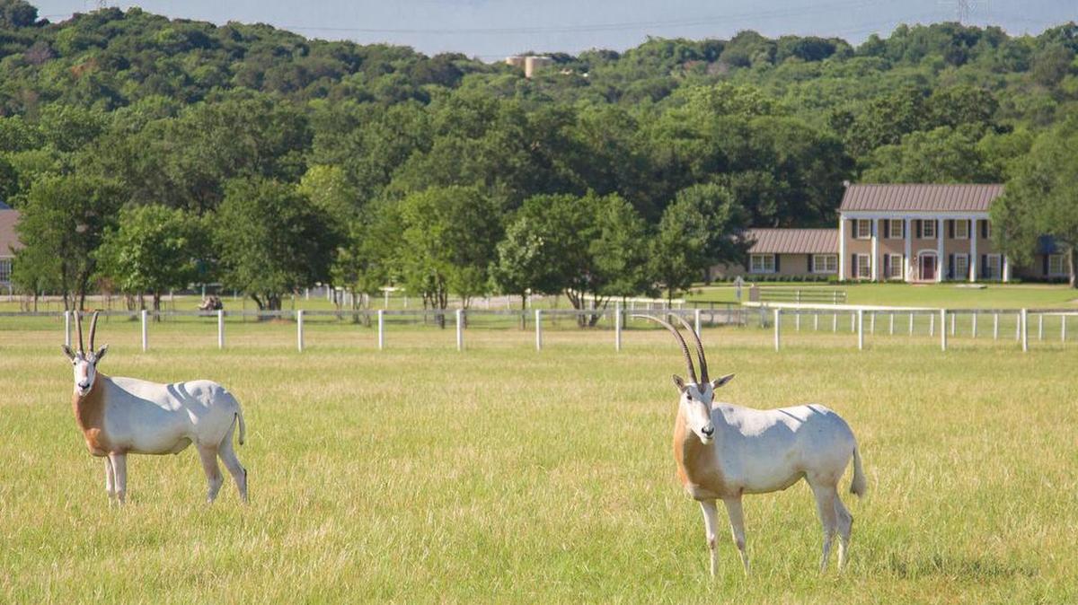 Kipling Lear Farm is an oasis of natural beauty and a versatile, multipurpose farm.