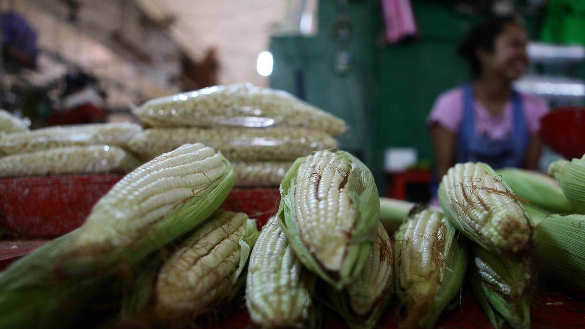 El objetivo de esta ley es declarar “la protección del maíz nativo y su diversificación constante en todo lo relativo a su producción, comercialización y consumo ...”.