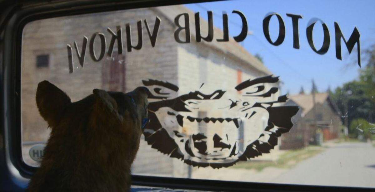 Una escena del documental “Among Wolves”.