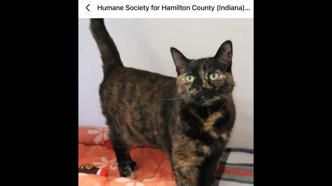 Mama needs a place where she feels safe.