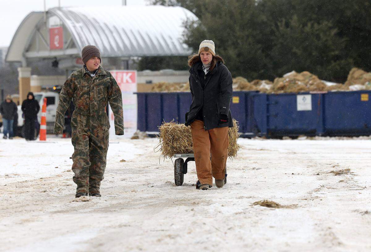 Seguin resident Deanna Roeder, right, and her son, Holden, 12, gather hay for their heifer showing at the Fort Worth Stock Show & Rodeo on Sunday, Jan. 25, 2026, in Fort Worth.