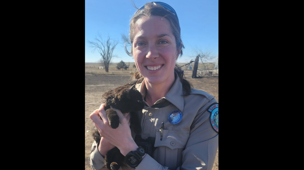 While surveying wildfire damage, a Texas game warden encountered a black cat which led them to a “trail of kittens,” officials say.