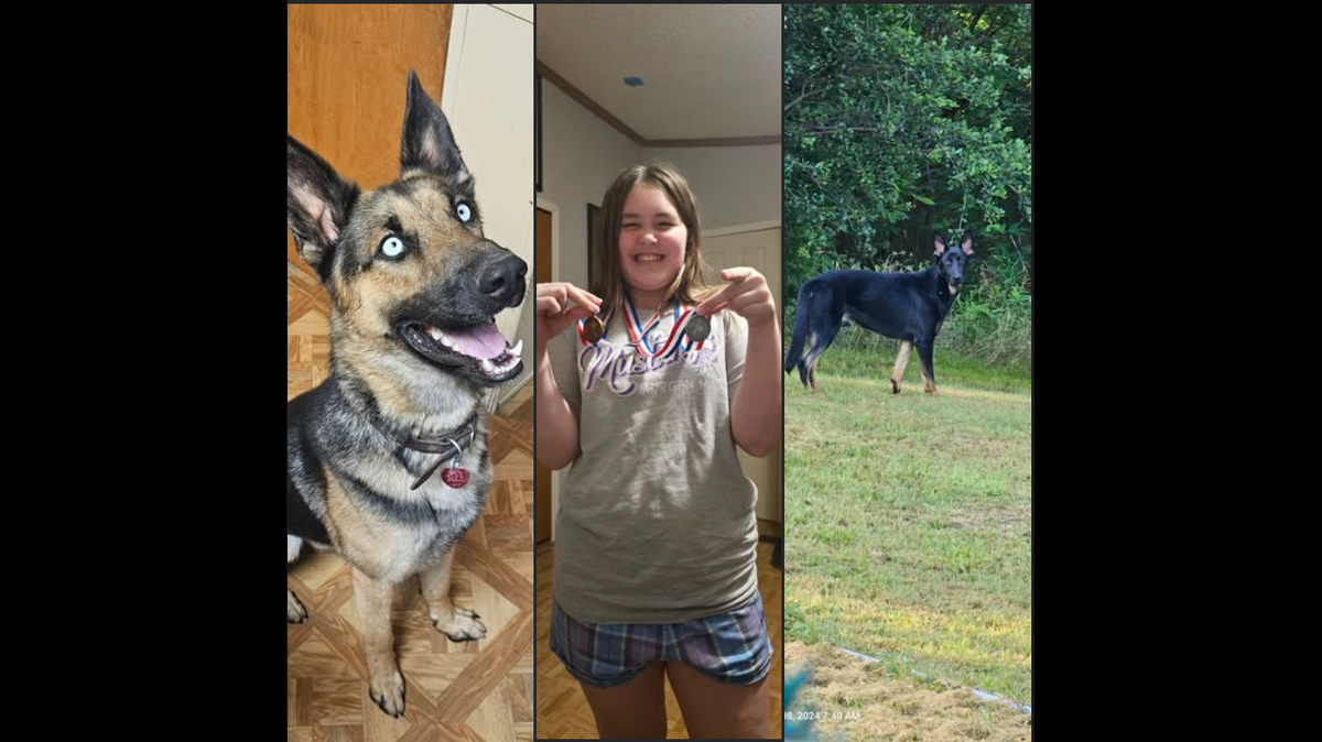 13-year-old Autumn White and her family’s two dogs, Luna and Ozzy. White was attacked by a hog early Friday August 15, 2025.