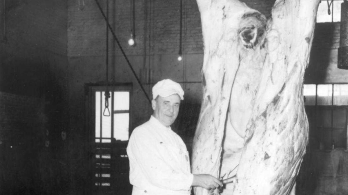 1945: Veteran meat inspector C.W. Woolsey beside beef carcass at Armour & Co. meat packing plant. He was retiring after 45 years.