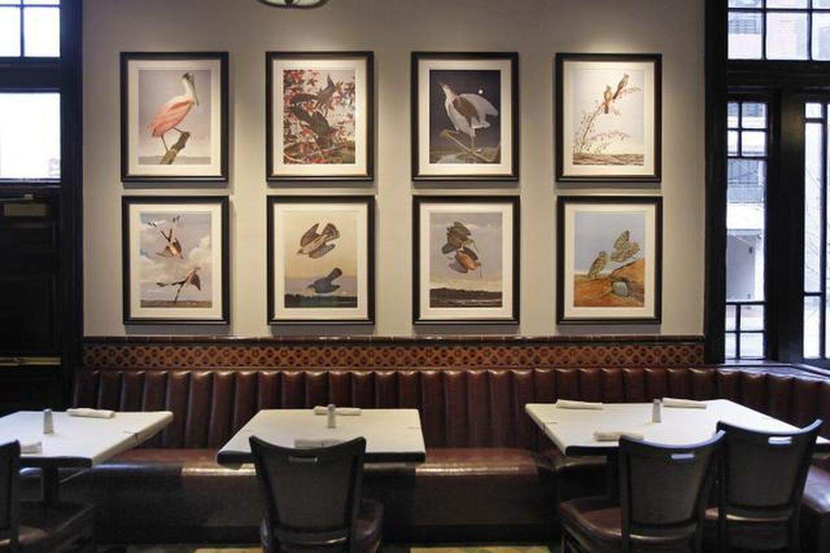 Bird Cafe Wynne 23