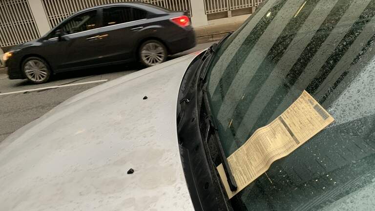 If you park downtown in the pouring rain, will you still get a parking ticket?