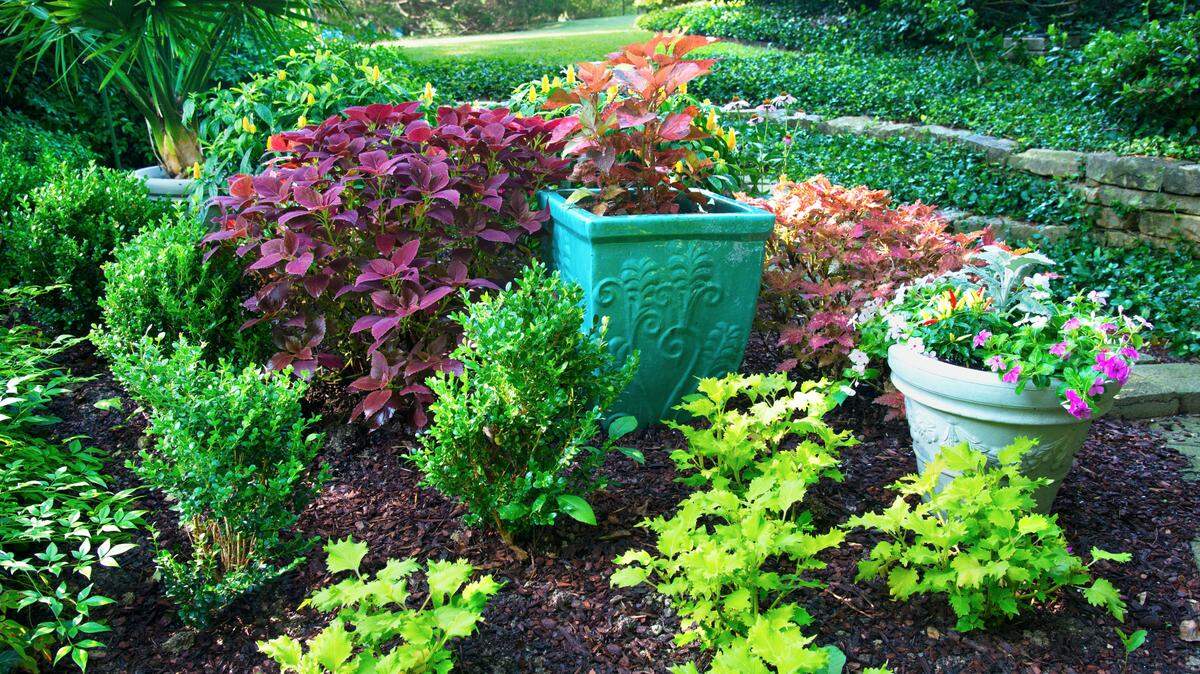 Pots can transform a rather plain patio or courtyard into a landscaped jewel in just a few minutes.