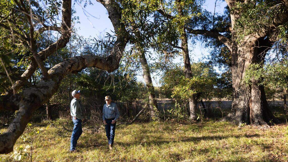 Will DFW’s thirst flood ‘Texas rainforest’? Inside the fight over Marvin Nichols Reservoir