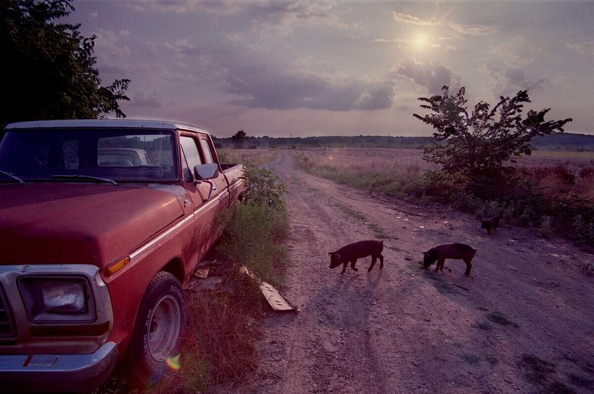July 16, 1999: The long dirt road and open fields surrounding Simon Salinas' property is something he says he can't replace for the small amount of money that Southlake is offering him. The city wants to bulldoze his property to make way for Bob Jones Park.