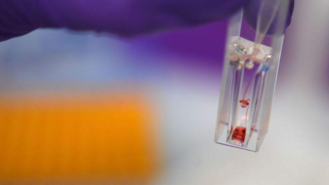 A Tiny Bacterium in Your Blood Could Change the Future of Anti-Aging and Longevity. What Does It Do?