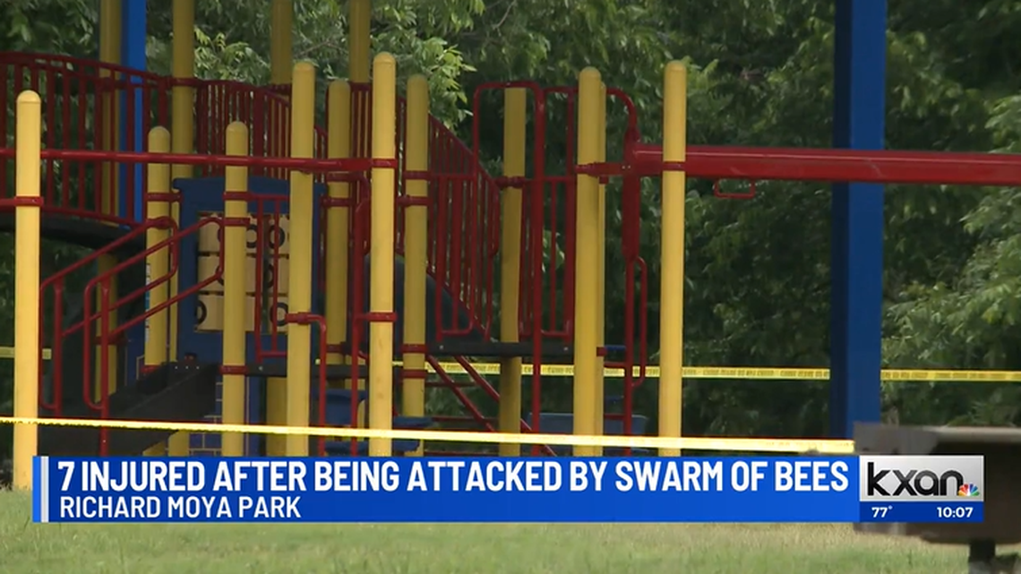 A bee swarm attacked seven people at a park in Austin, Texas, officials say.