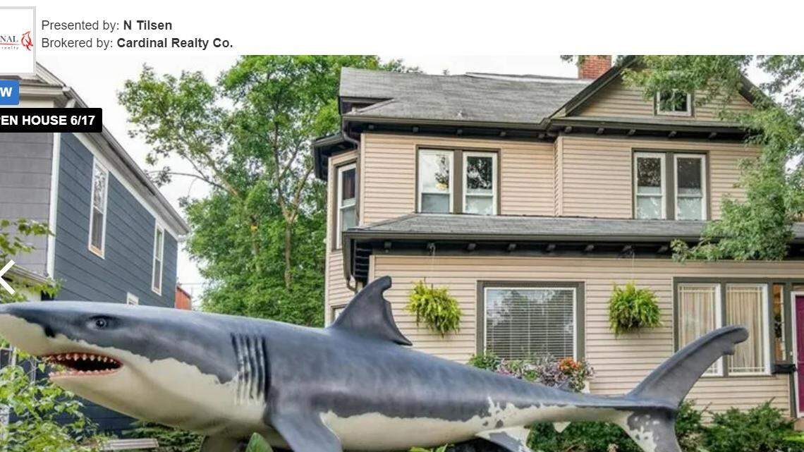 Oh, why hell there, Mr. Land Shark