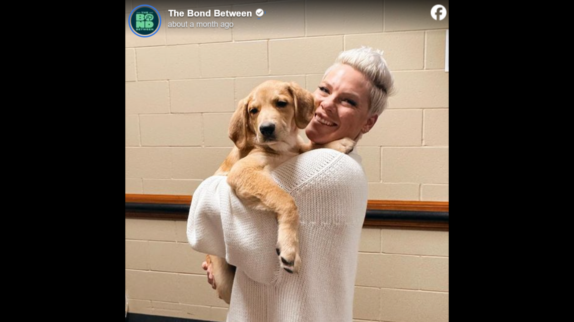 Pink poses with Graham Cracker