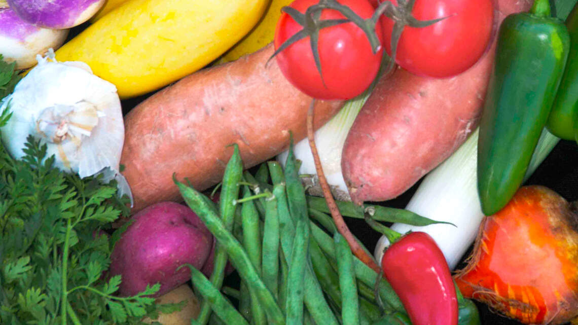 Serious about growing your own vegetables? Season starts now in North Texas