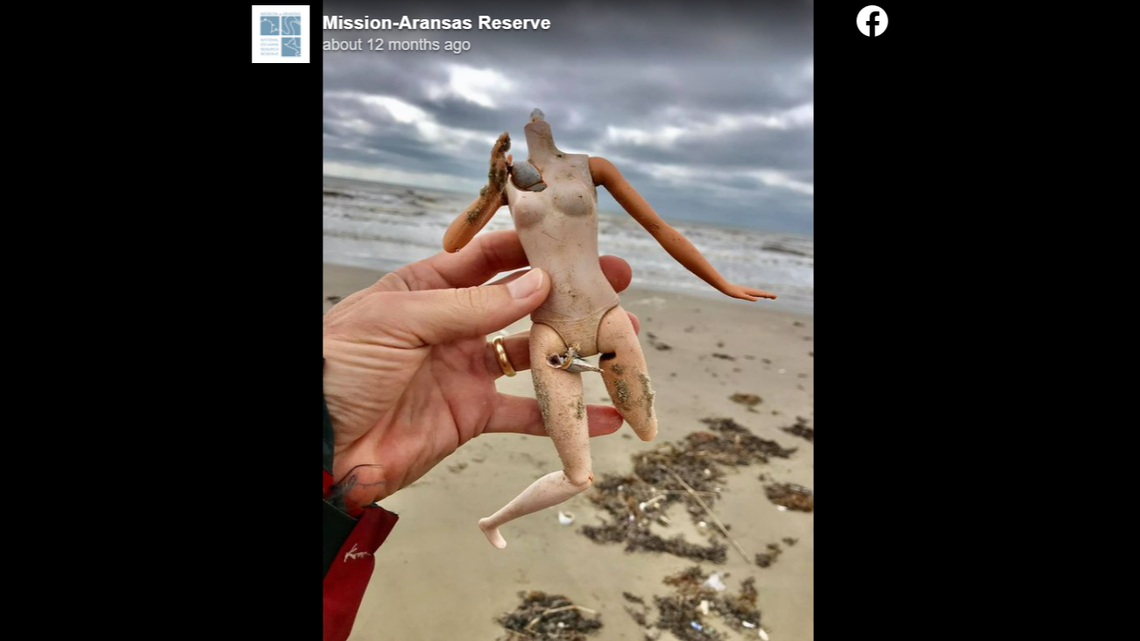 Dolls of all different shapes, sizes, and damage wash up onto the shore.