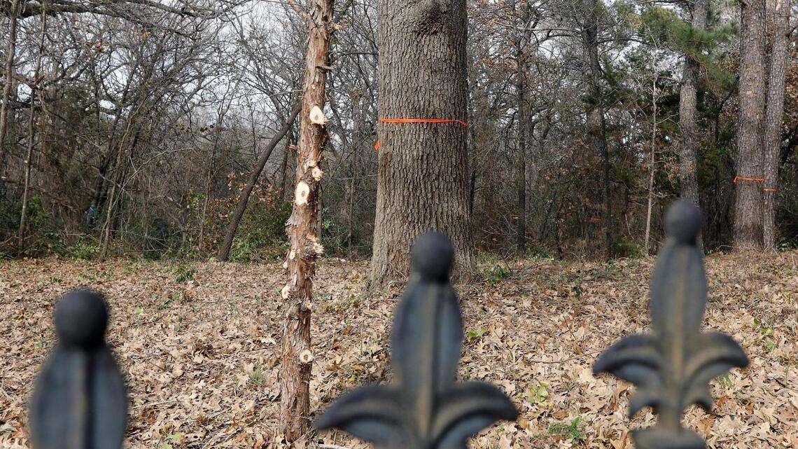 Colleyville City Council denies development after neighbors protest loss of rare forest