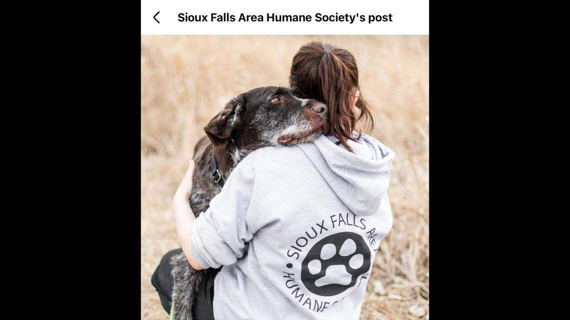 Klous, getting some love and cuddles.