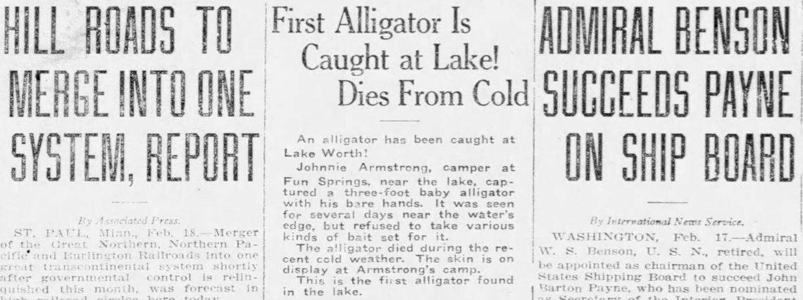 In 1920, the Star-Telegram reported the capture of the first alligator in Lake Worth, built in 1918 along Trinity River gator habitat.