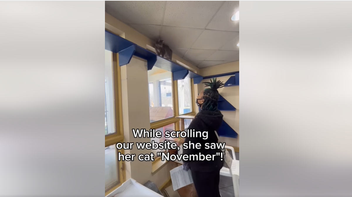 Ariana peering up at her cat, November.