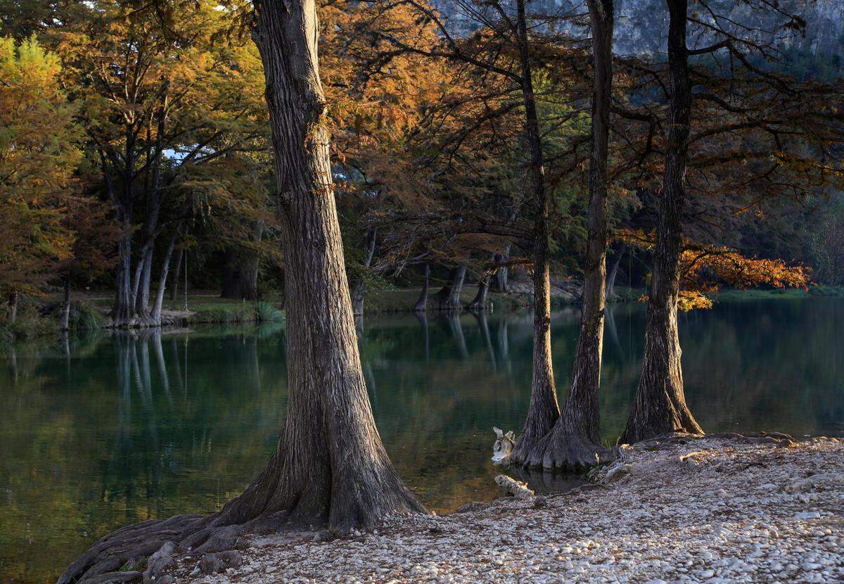 Leaves changed colors in November of 2016 at Garner State Park in Texas.