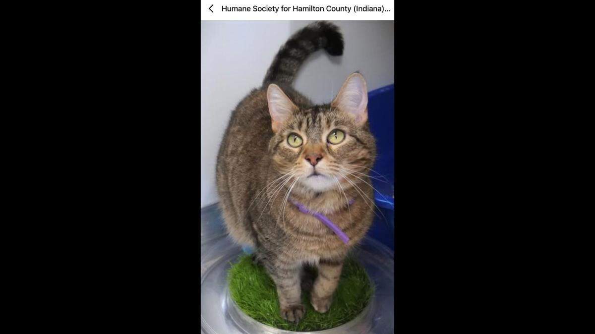 Mia is both sweet and spicy