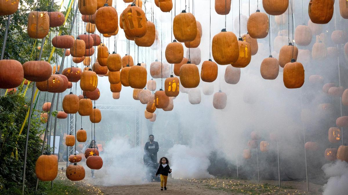 Guests wander through the Great Hall during Pumpkin Nights at Howell Farms in Arlington, Texas, on Thursday, Sept. 29, 2022. The event showcases thousands of pumpkins and features food vendors, fire dancers, a psychic and more.