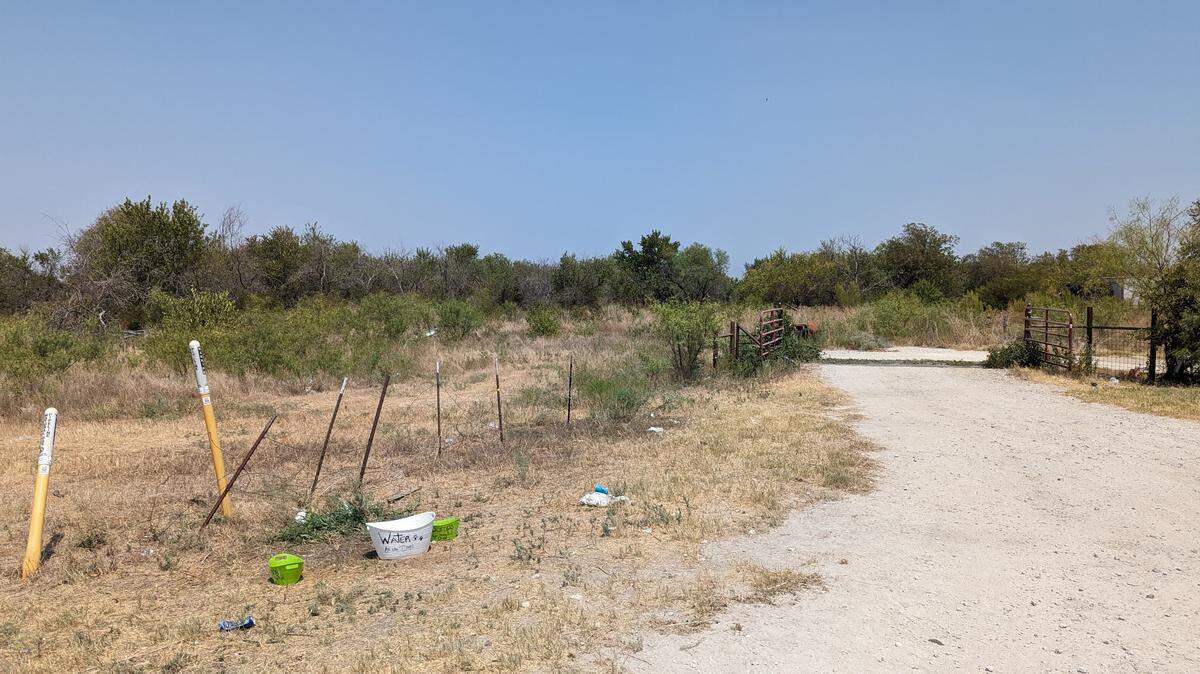A cow gate and pasture land on a hot summer day