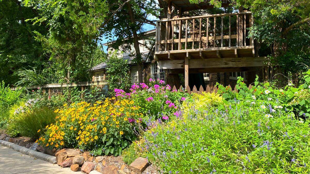 Goldsturm gloriosa daisies, summer phlox, Shasta daisies and other perennials present a showy display.