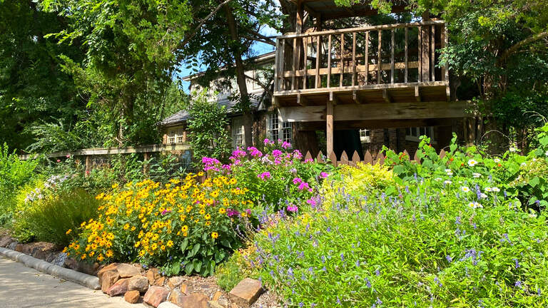 Fall is the perfect time to plant perennials. Texas gardeners should follow this roadmap