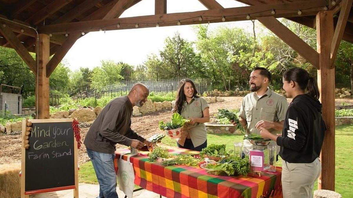 Ursula and Steven Nunez (top side of table) speak with visitors to Mind Your Garden Urban Farm in Fort Worth. The farm specializes in offering healthy food choices.