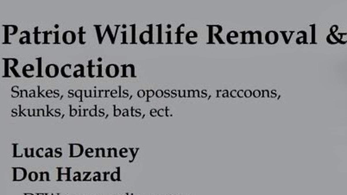 A business card for Jan. 6 suspects Lucas Denney and Don Hazard promoted “wildlife removal.”