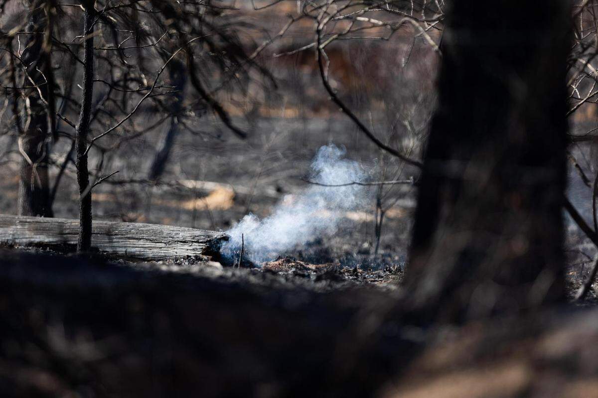 A log continues to smolder after the Valentine’s Day Fire on Tuesday, Feb. 15, 2022, along County Road 4698 in Wise County.