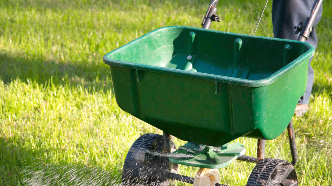 Why September is the most important month for North Texas lawn care. What to do now