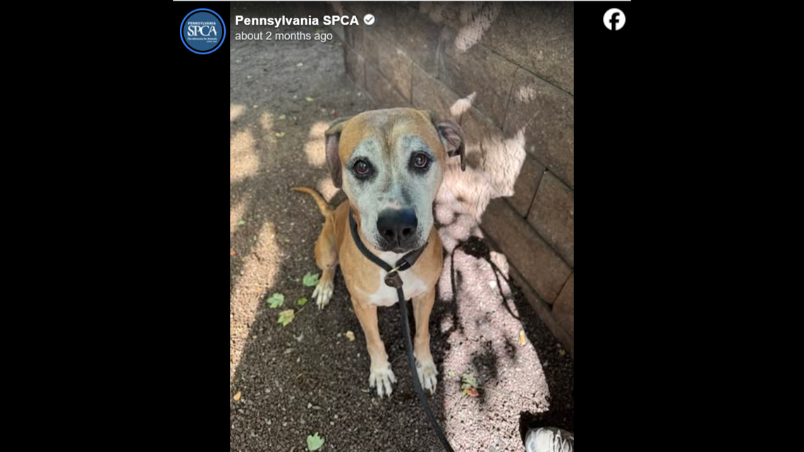 Sweet Chessie finally found love.