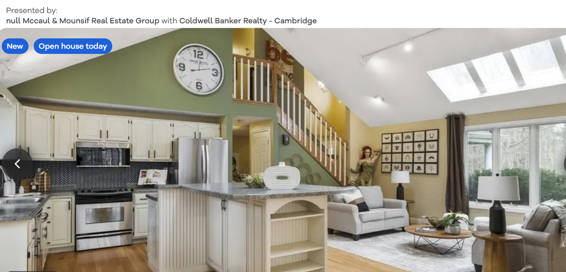 Living room and kitchen