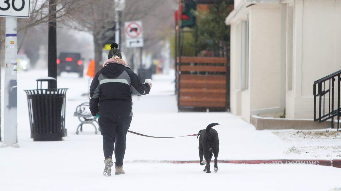 Jess Ellison walks Birdie down Magnolia Avenue after getting a coffee from Craftworks Coffee Co. on Sunday, Feb. 14, 2021.