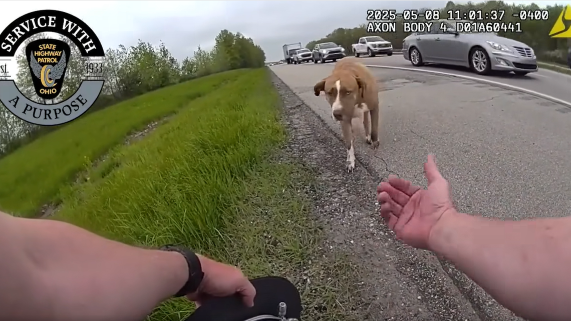 The rescue was captured on body-cam footage.
